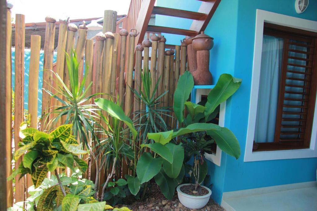 Praia de Pipa Casa Azul 빌라 외부 사진